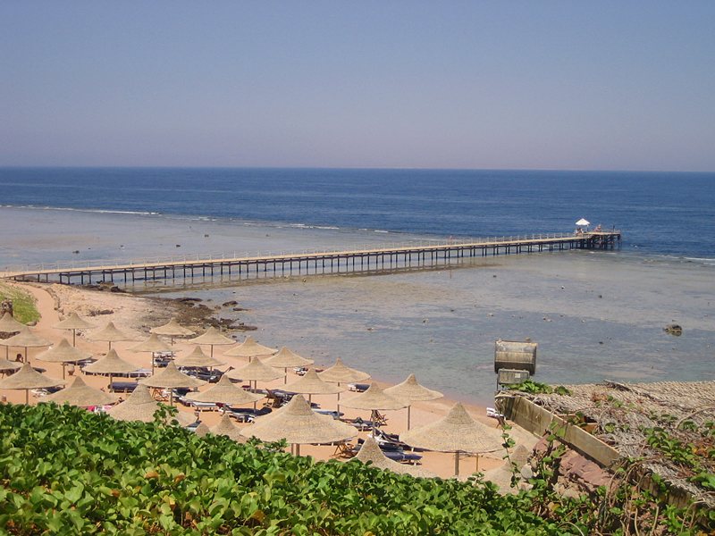 Nubian Village 42966