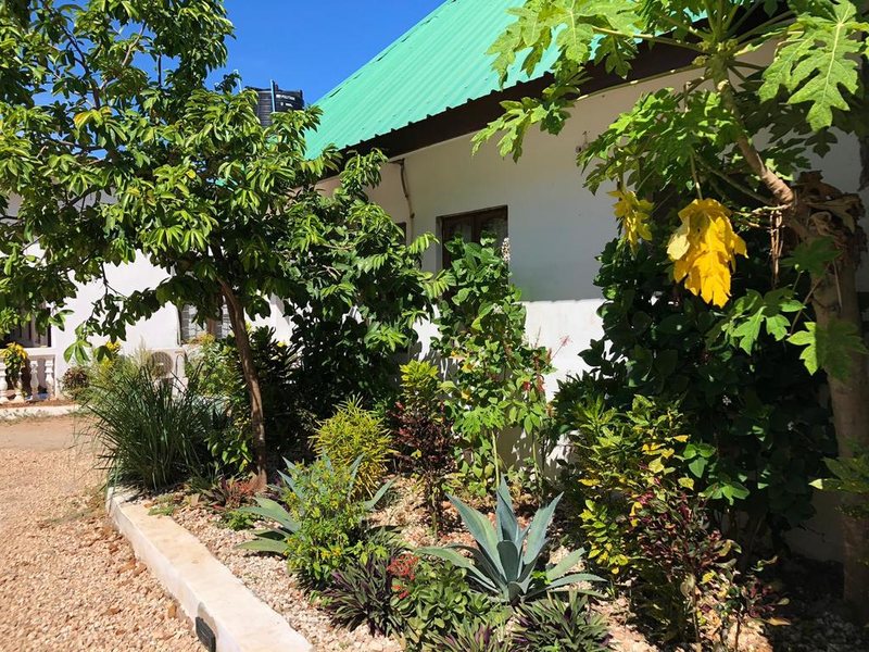 Nungwi Getaway 322693