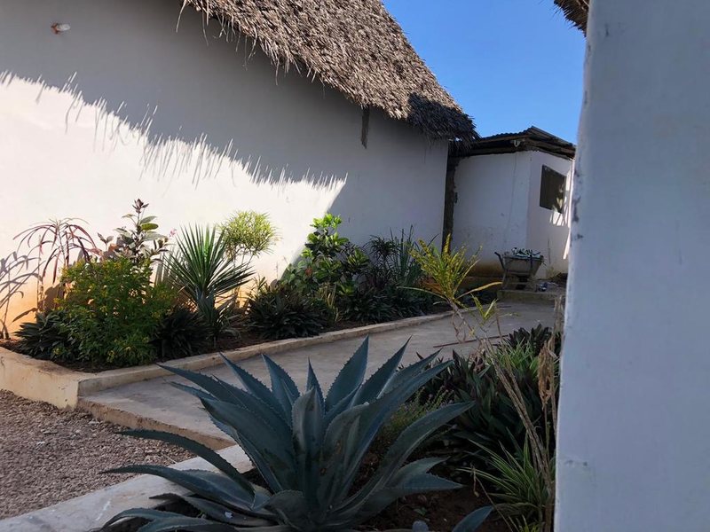 Nungwi Getaway 322697