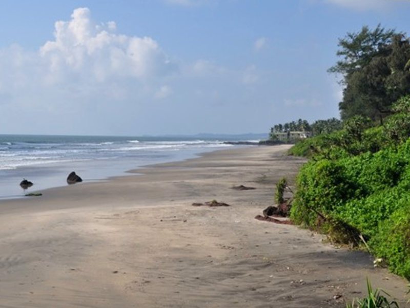 Oasis Beach Resort 114564