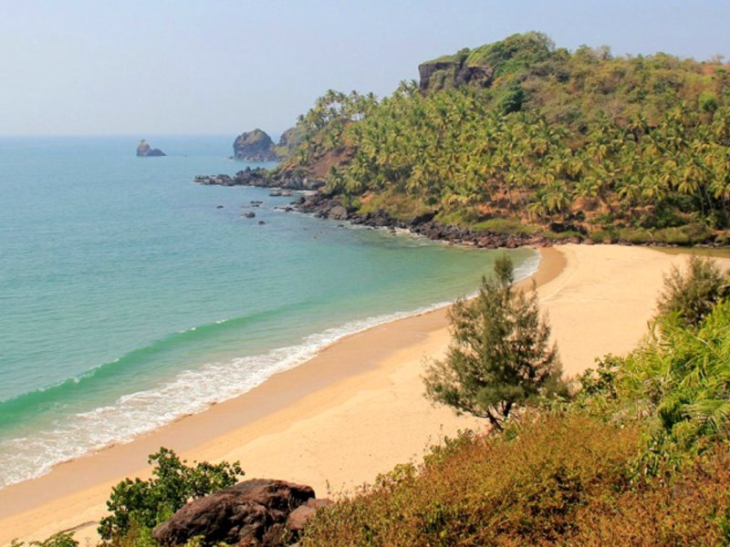 Oasis Beach Resort 114567