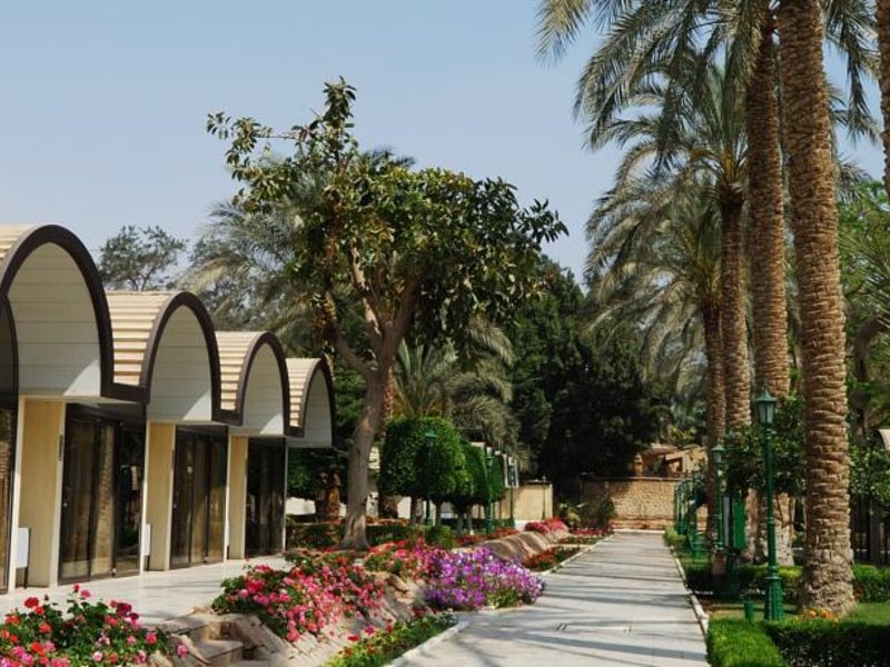 Oasis Cairo (Pyramids Area) 147378