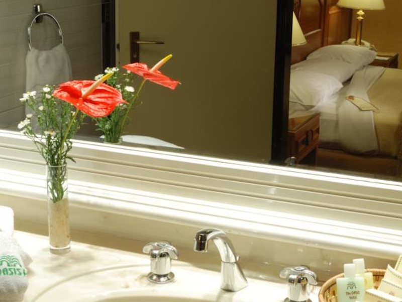 Oasis Cairo (Pyramids Area) 147389