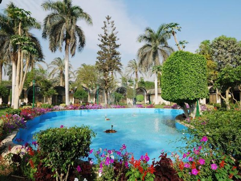 Oasis Cairo (Pyramids Area) 147392