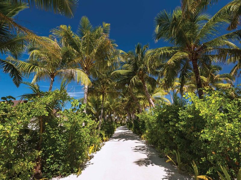 Oblu Select At Sangeli Maldives  323922