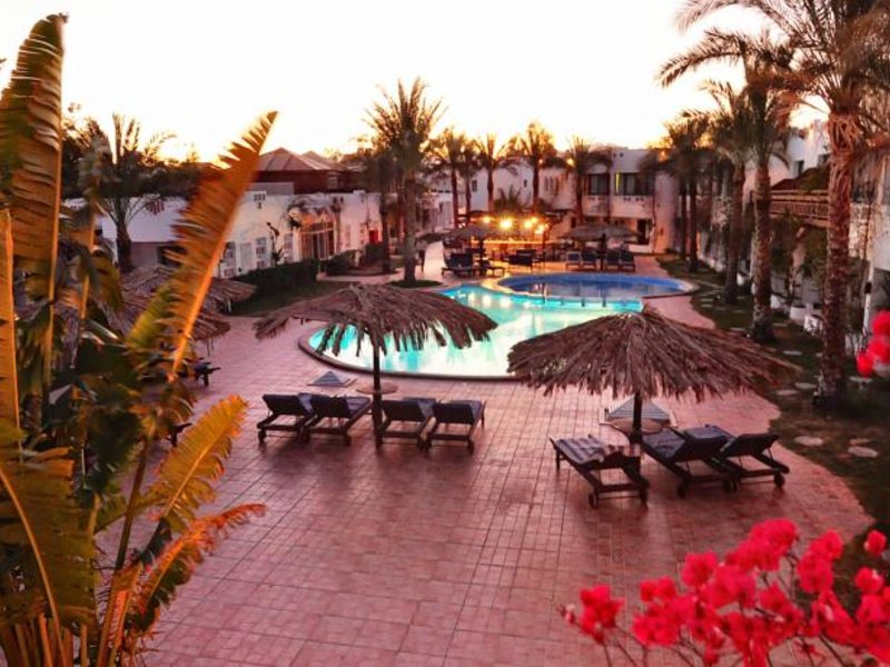 Ocean Club Hotel  146062