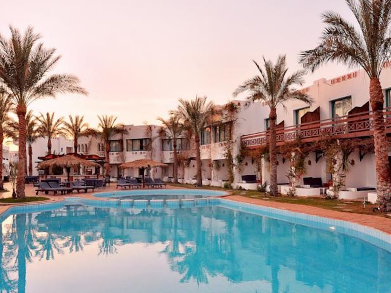 Ocean Club Hotel  146064