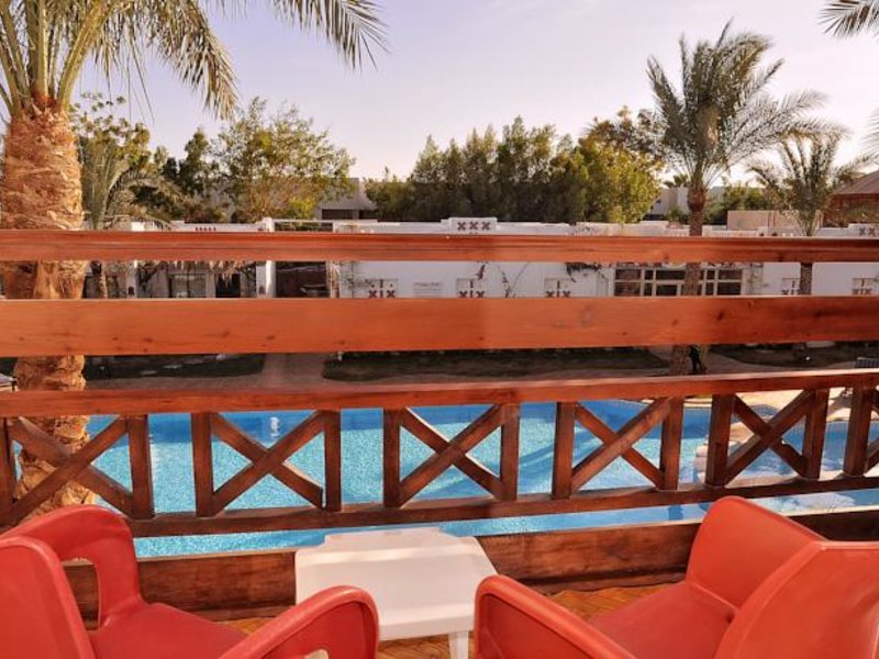 Ocean Club Hotel  146068