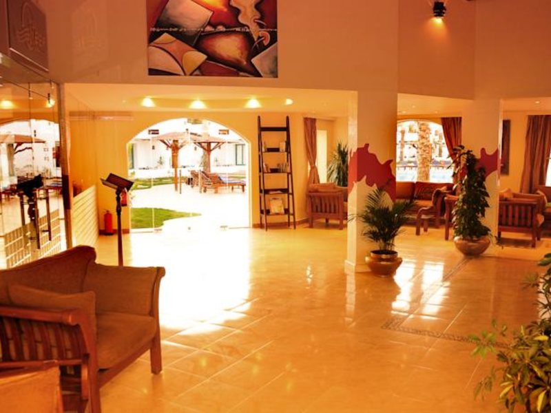 Ocean Club Hotel  146073