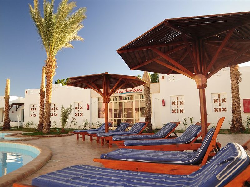 Ocean Club Red Sea Hotel 130350