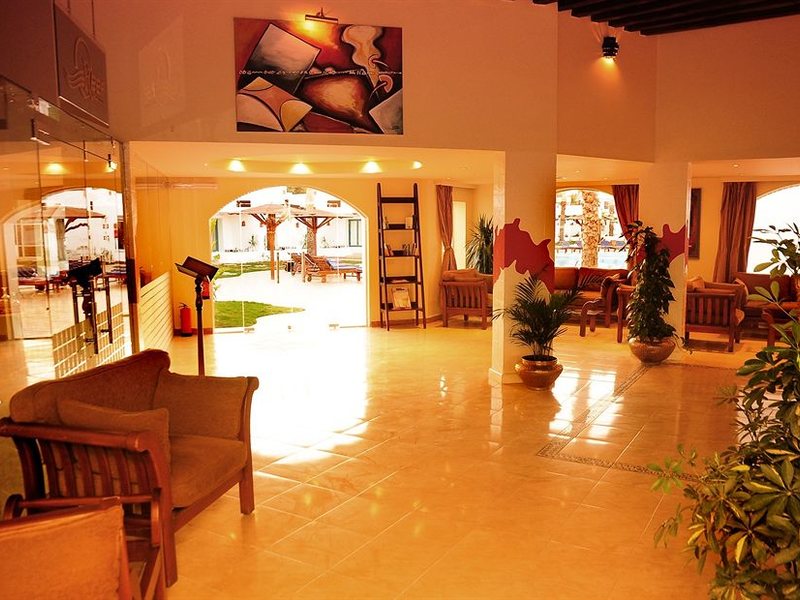 Ocean Club Red Sea Hotel 130351