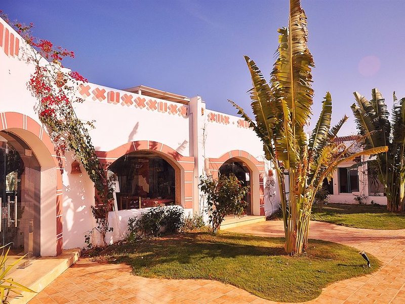 Ocean Club Red Sea Hotel 130353