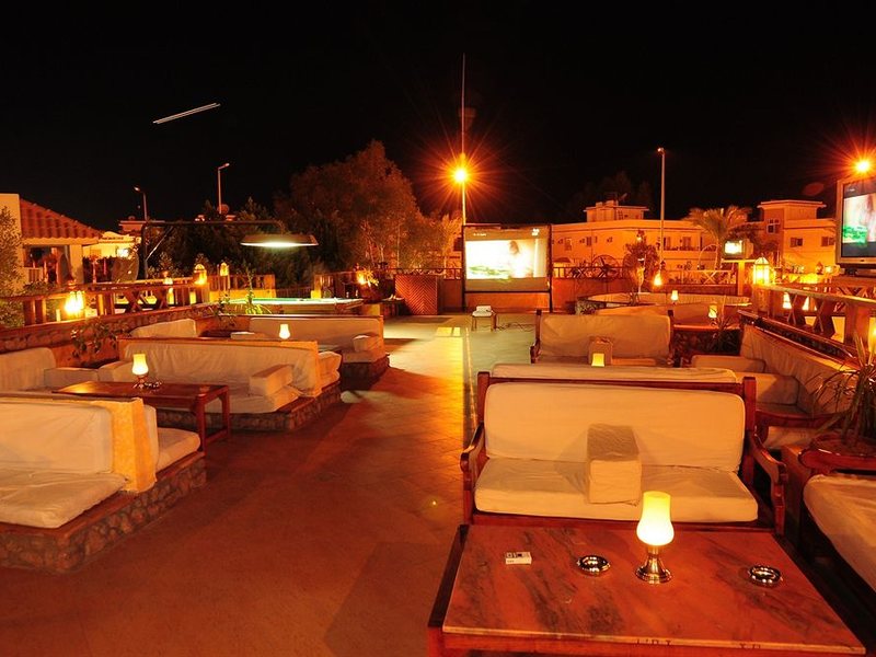 Ocean Club Red Sea Hotel 130357