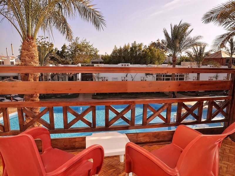 Ocean Club Red Sea Hotel 130363