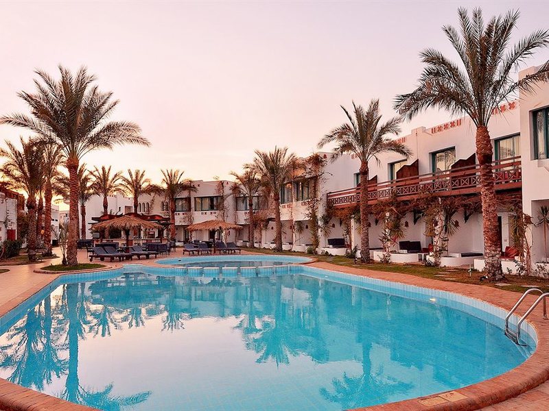 Ocean Club Red Sea Hotel 130365