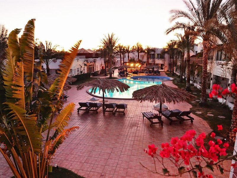 Ocean Club Red Sea Hotel 130366