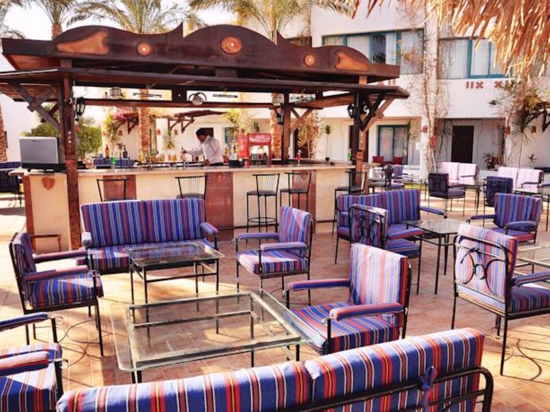 Ocean Club Red Sea Hotel 130369