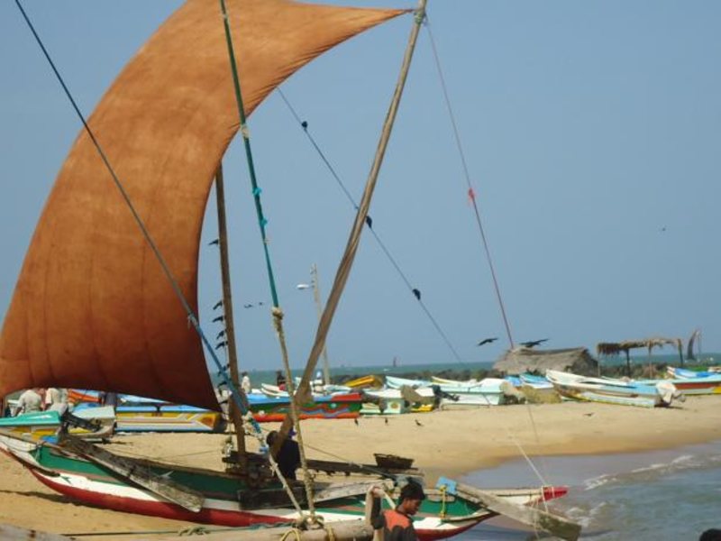 Ocean Pearl Hotel 131418