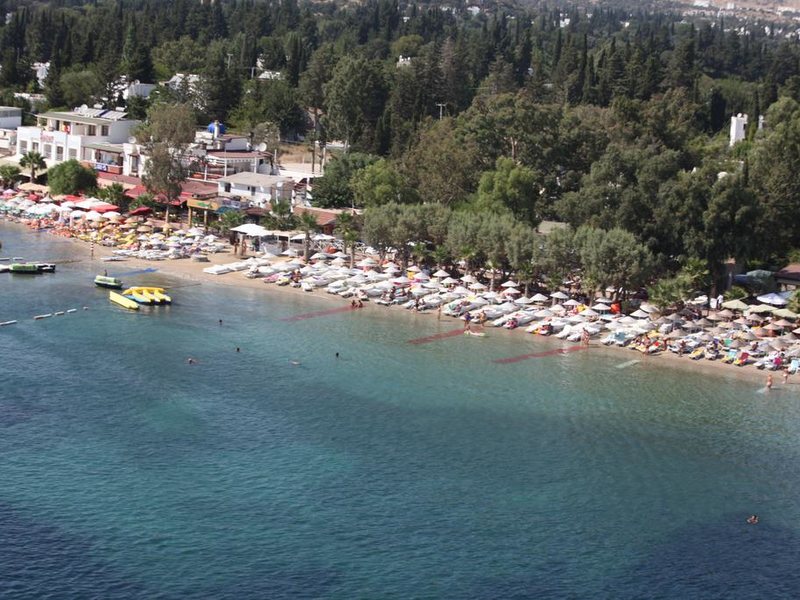 Okaliptus Hotel 186839