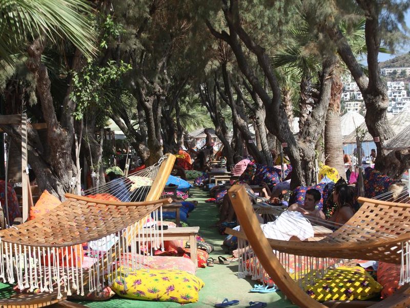 Okaliptus Hotel 186850