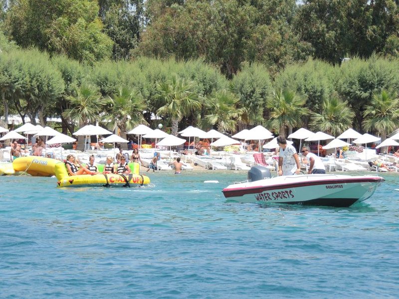 Okaliptus Hotel 186852