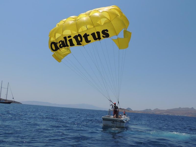 Okaliptus Hotel 186853