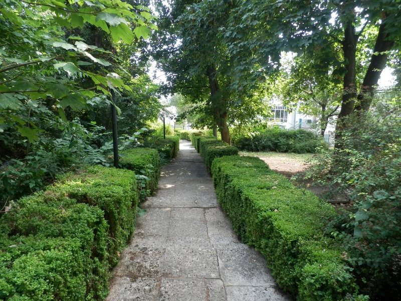 Olimpia-Supersnab 213313