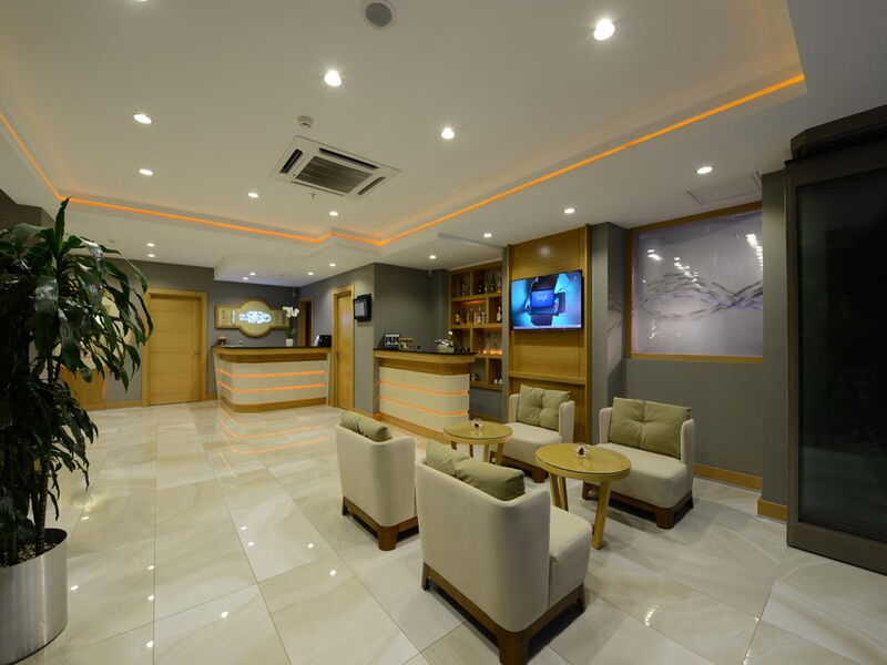 Olimpiyat Hotel  203595