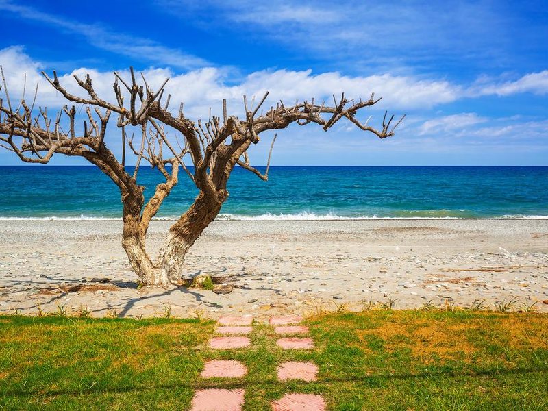 Oliva Hotel Maleme 286964