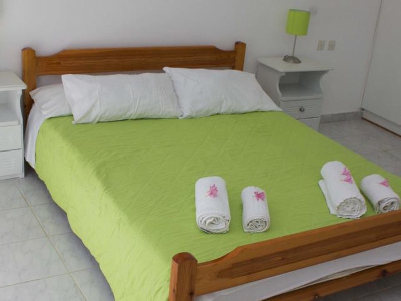 Olive Grove Apts 306334