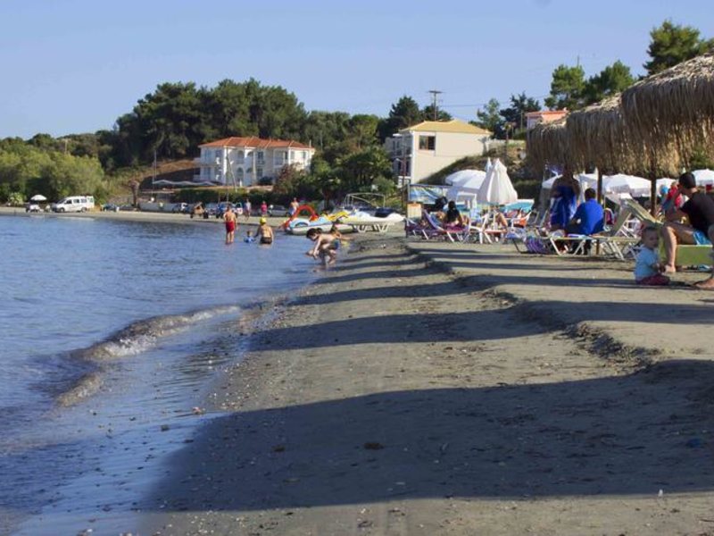 Olive Grove Apts 306341