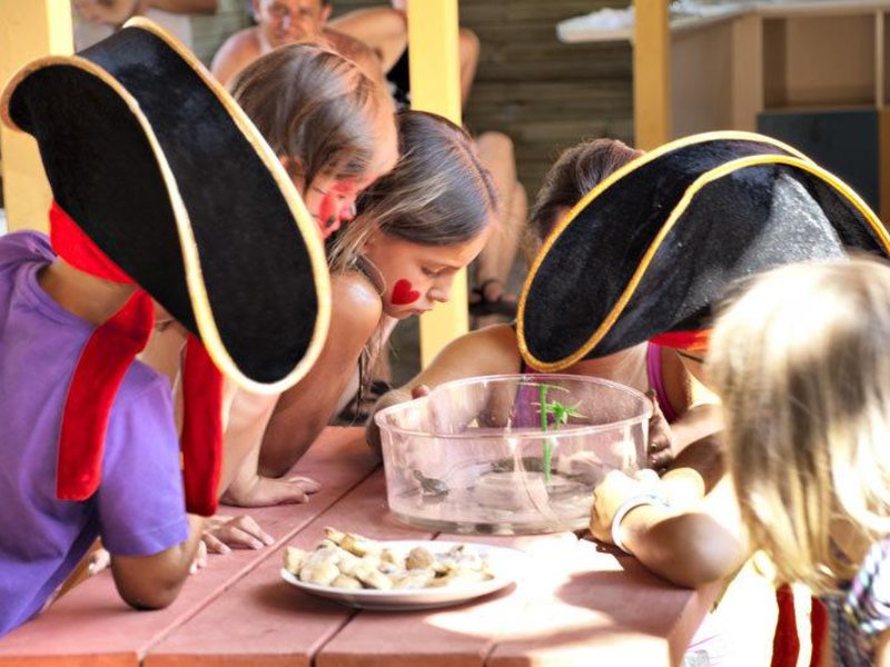 Omer Holiday Resort HV-1  59309