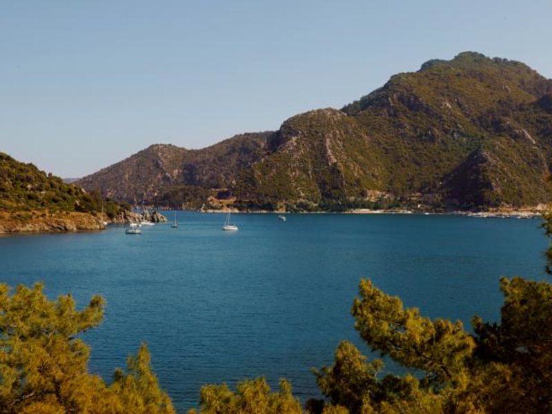 Orka Lotus Beach Hotel (ex 61232