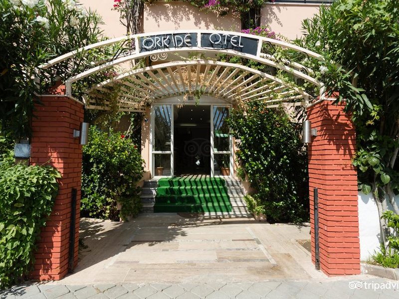 Orkide Hotel 276985
