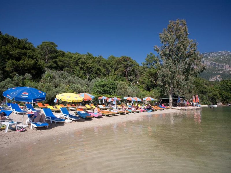 Ova Resort Hotel 277012