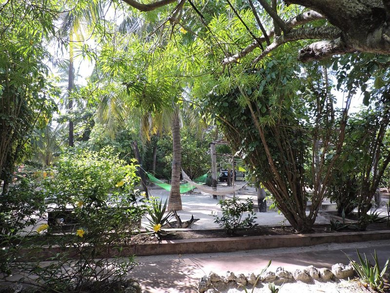 Paje By Night 322710