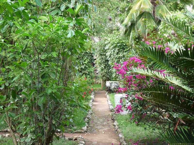 Paje By Night 322711