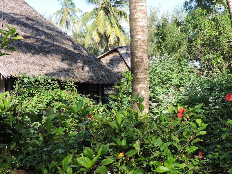 Paje By Night 322712