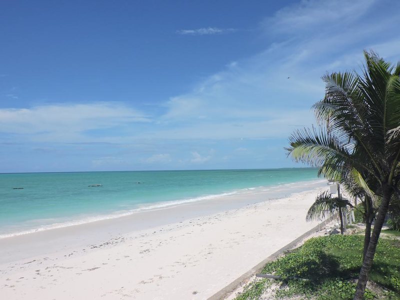 Paje By Night 322715