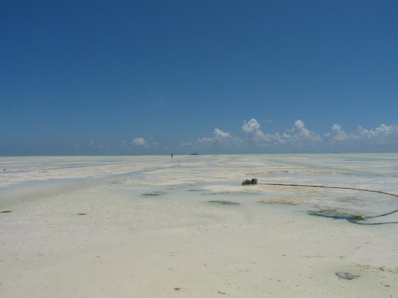 Paje By Night 322717