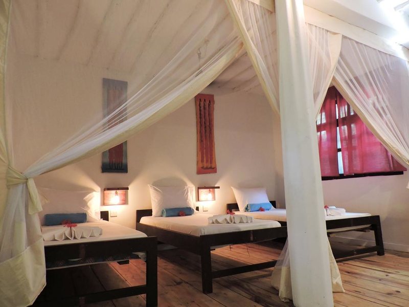 Paje By Night 322720