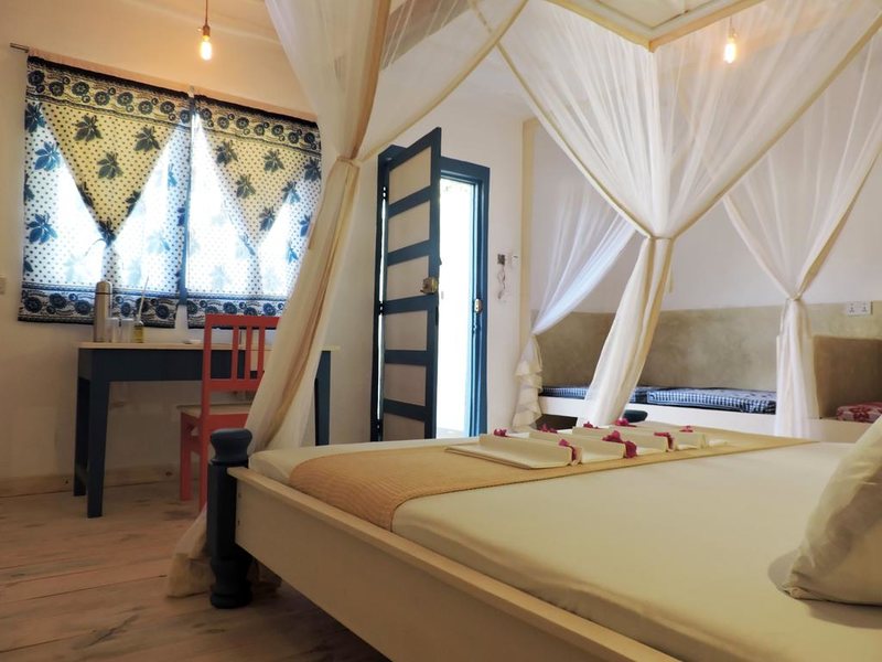 Paje By Night 322732