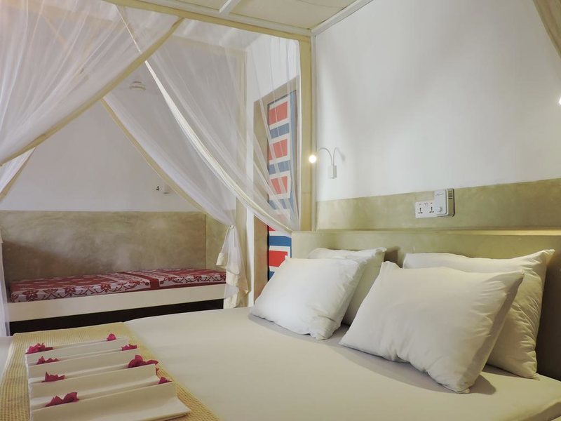 Paje By Night 322734