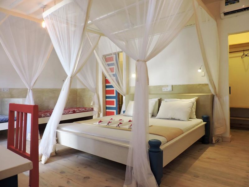 Paje By Night 322736