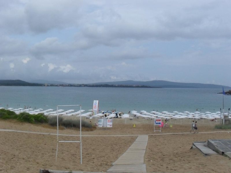 Palace De Luxe  166934