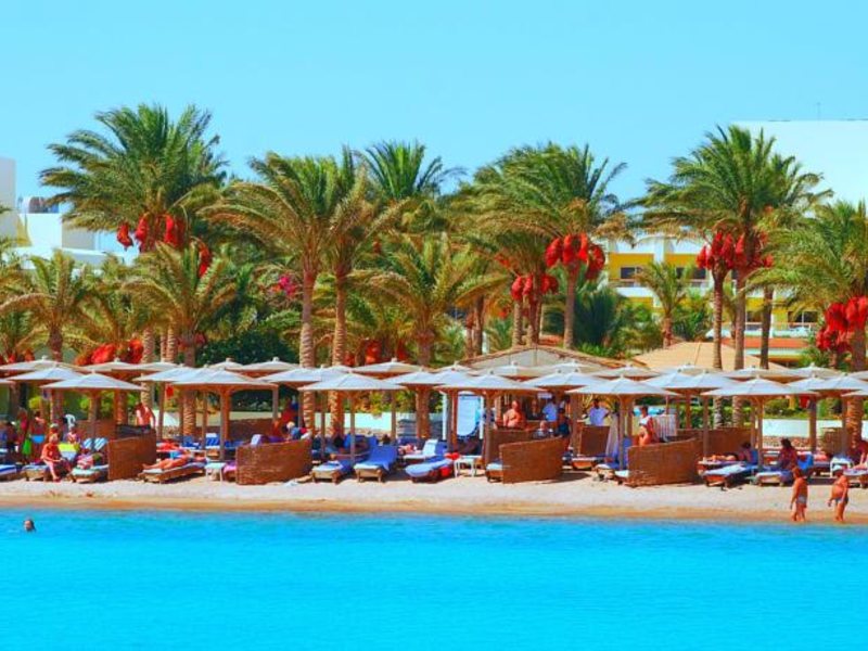 Palm Beach Resort 55109