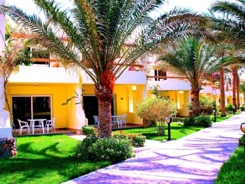 Palm Beach Resort 55113