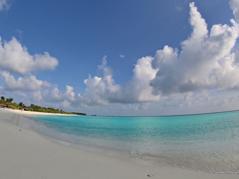 Palm Beach Resort & Spa Maldives 136142