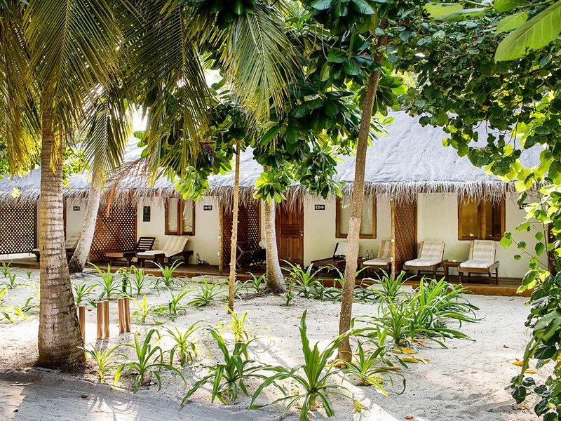 Palm Beach Resort & Spa Maldives 136160