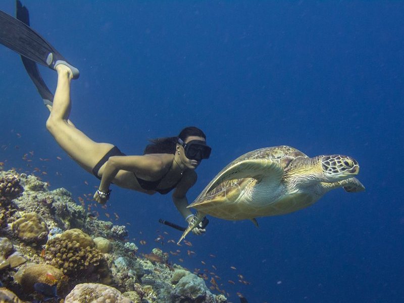 Palm Beach Resort & Spa Maldives 136168